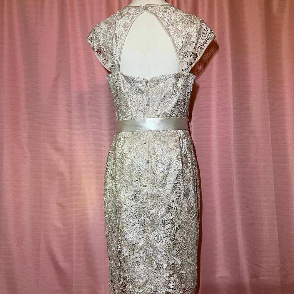Adrianna Papell Cream lace cap sleeve dress | 8 - Picture 2 of 7